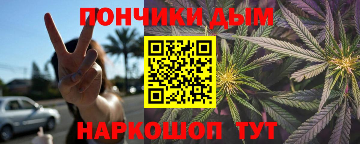 Бошки марихуана сатива  Вход с VPN  Бошки Шишки план  Бошки Шишки SATIVA & INDICA  Белая Калитва 